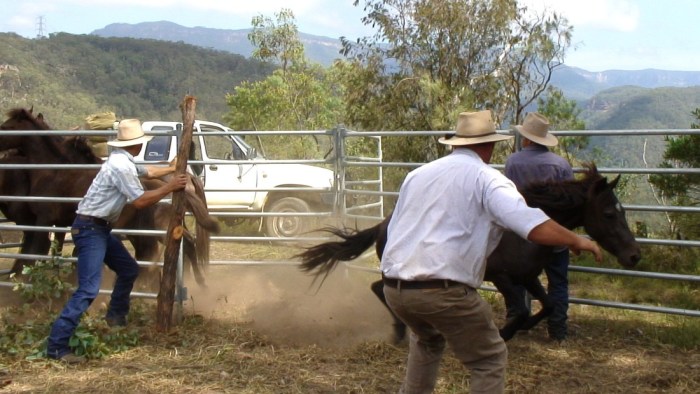 Image: www.themanfromcoxsriver.com