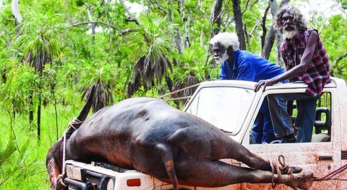 Charlie'sCountryPic#08