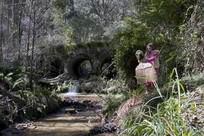 Flat Daddy Cinema Australia 3