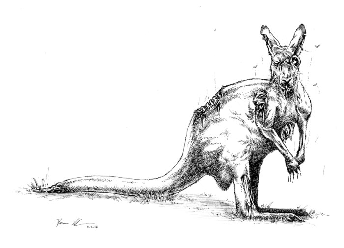 Waterborne Cinema Australia 10