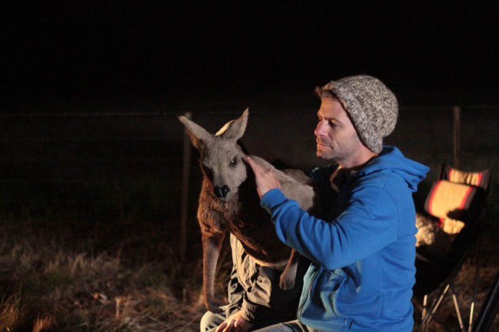 Waterborne Cinema Australia 2