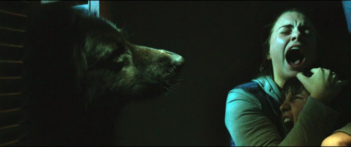 ThePack_ForDVD_1.1.39